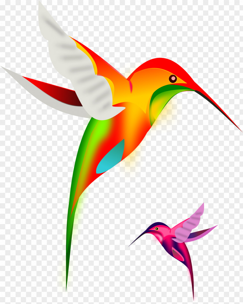 Birds Ruby-throated Hummingbird Clip Art PNG