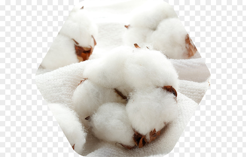 Cotton Yarn Towel Stock Photography Royalty-free PNG