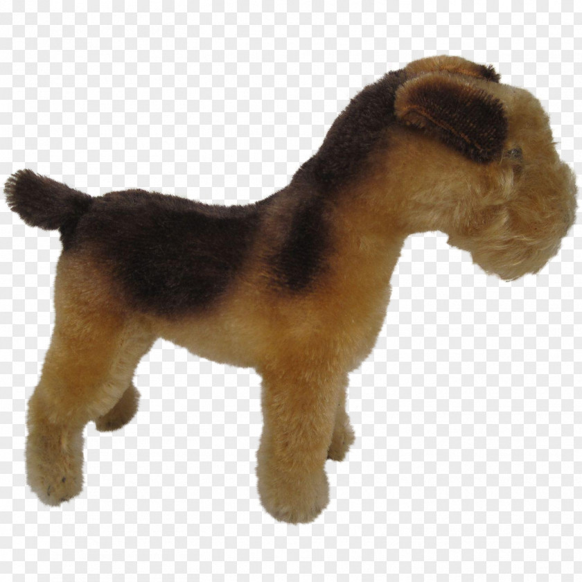 Lakeland Terrier Airedale Welsh Dog Breed PNG