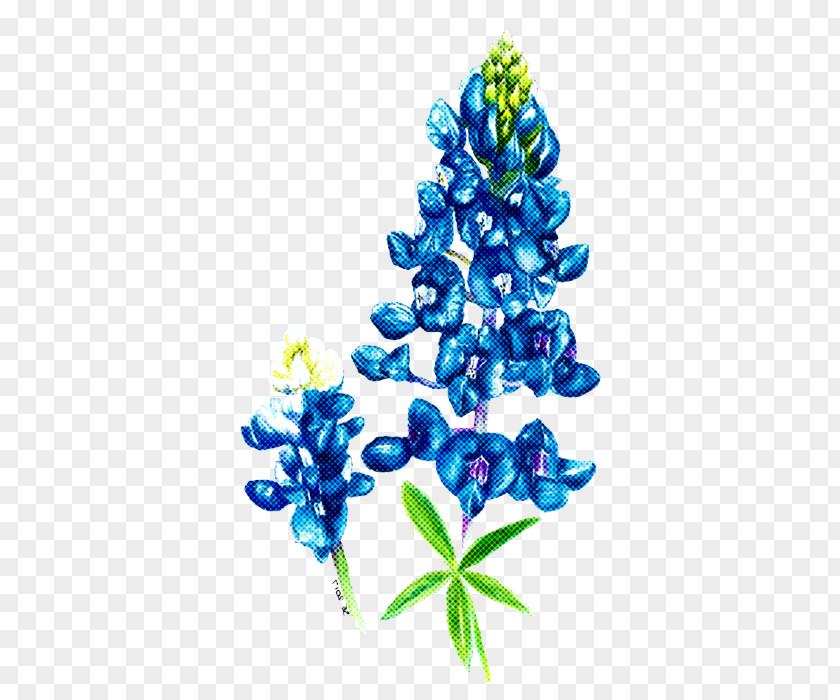 Bluebonnet Blue Flower Plant Texas PNG