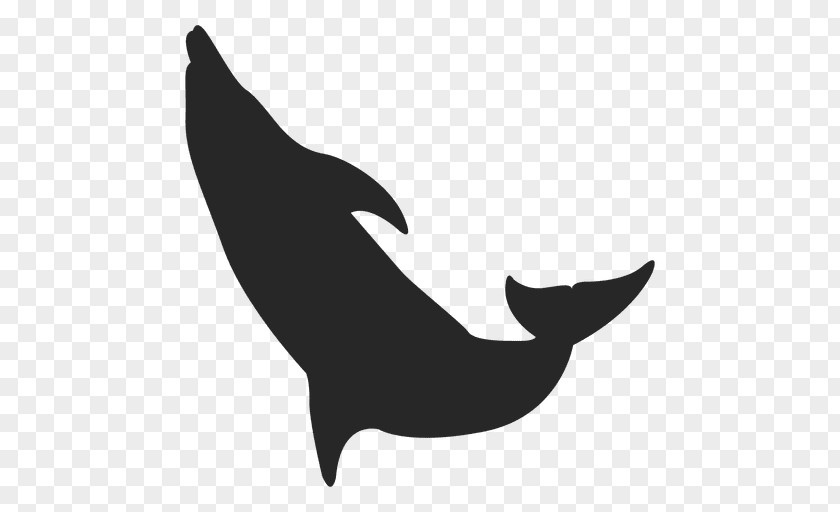 Dolphin Silhouette Clip Art Image PNG
