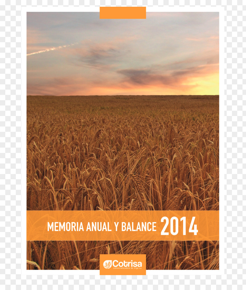 Memoria Emmer Triticale Harvest Rye Grain PNG