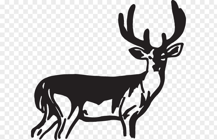 Reindeer Decal Sticker Elk PNG