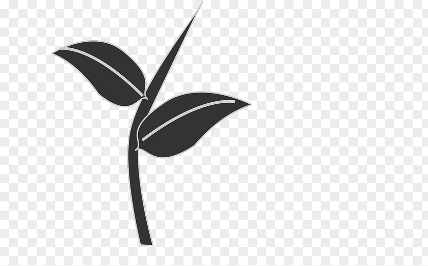 Winter Elements Plant Stem Leaf Clip Art PNG