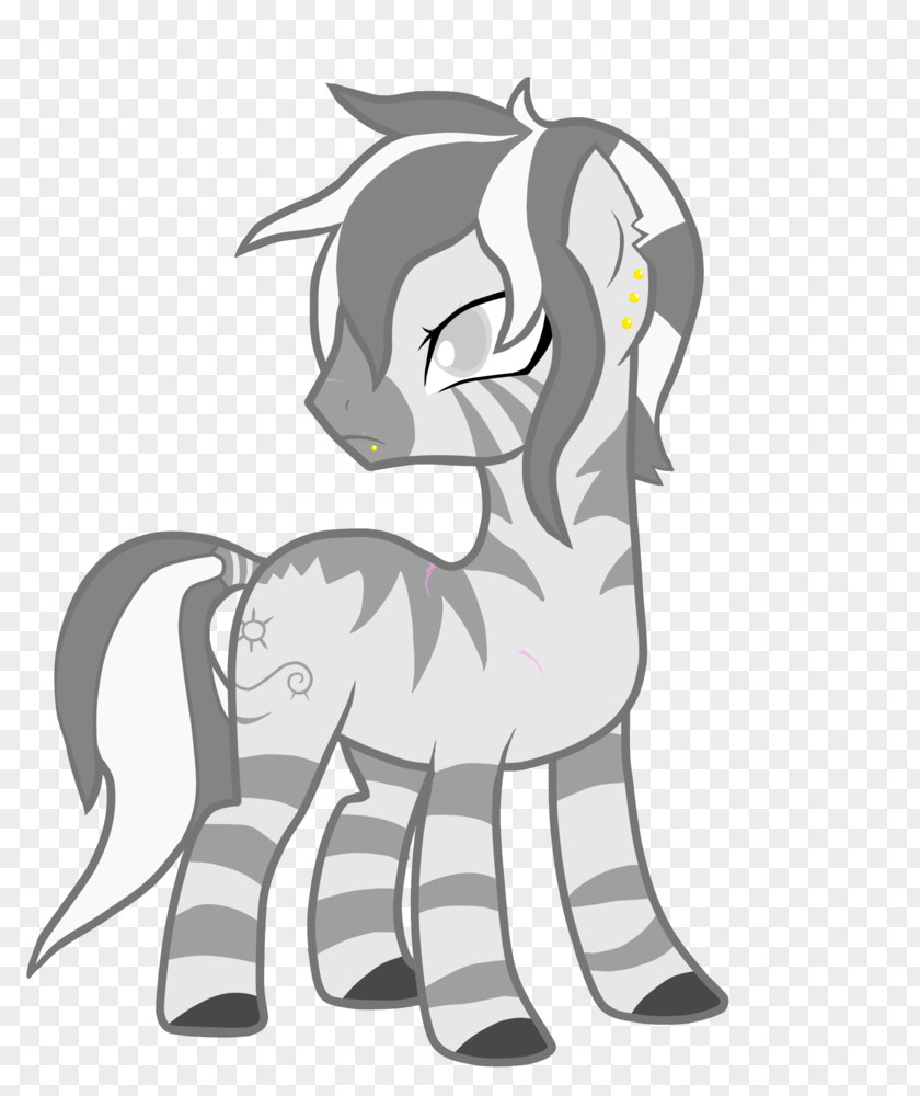 Zebra My Little Pony Horse Drawing PNG