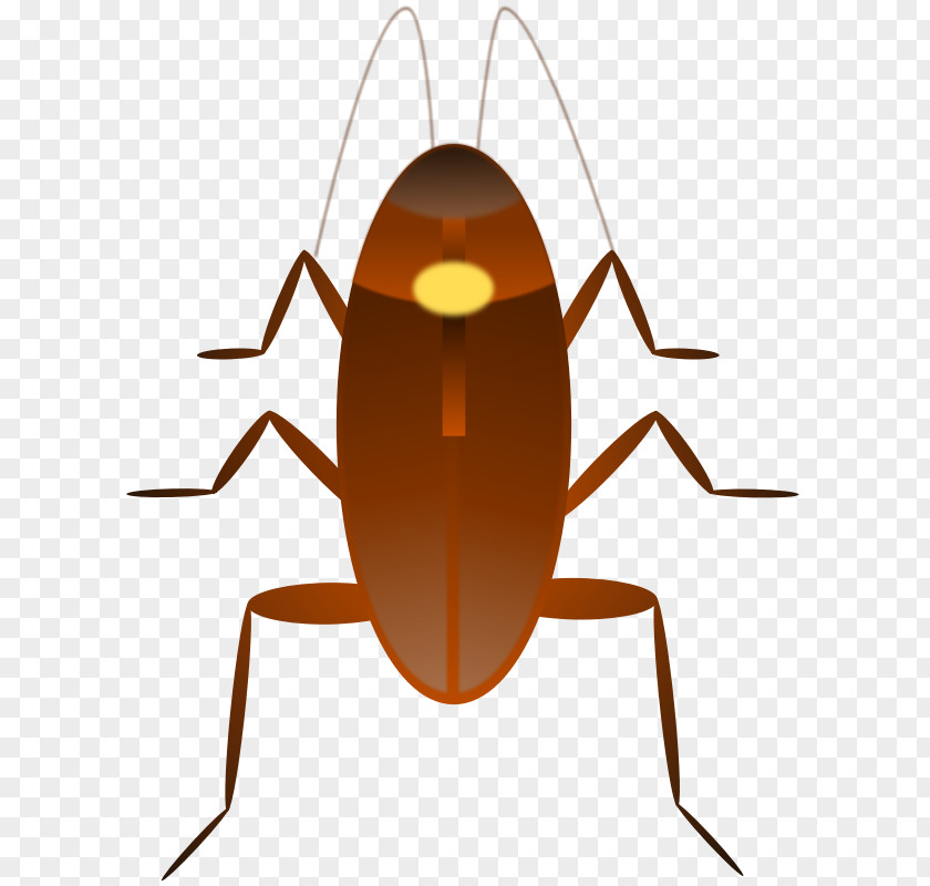 Cockroach Dr. Clip Art PNG