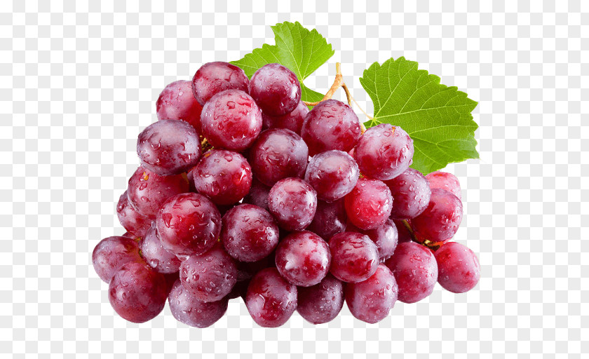 Common Grape Vine Red Wine Globe Juice PNG