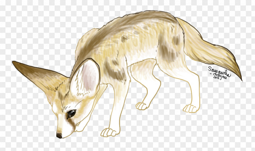 Fennec Fox Drawing Macropodidae Line Art Canidae PNG