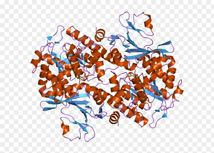 Nicotinamide Phosphoribosyltransferase Art Pre-B-cell Colony Enhancing Factor 1 Enzyme PNG