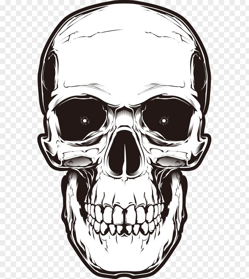 Skull Tattoo Human Symbolism PNG