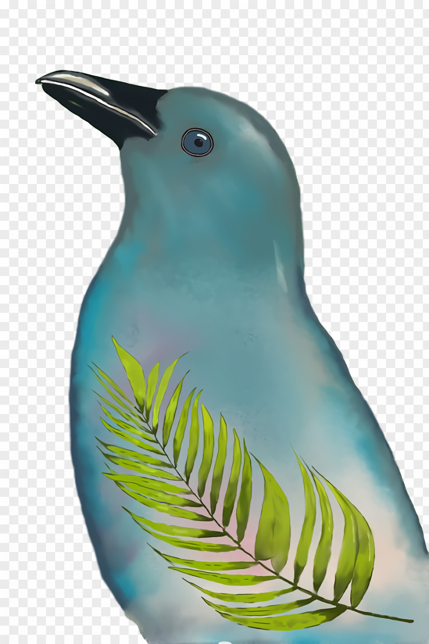 Beak Turquoise PNG