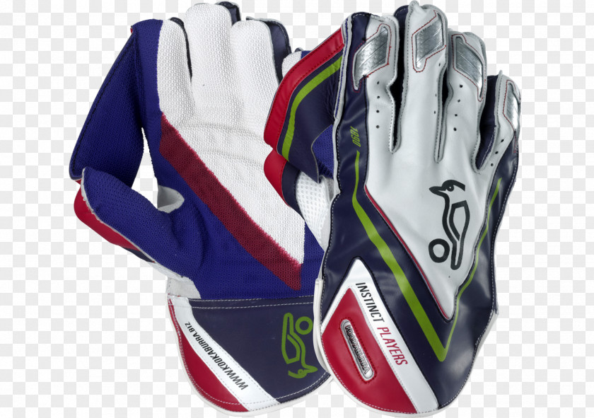 Cricket India National Team Pakistan Wicket-keeper's Gloves PNG