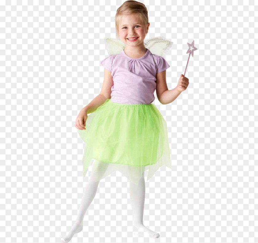 Fairy Tutu Disney Fairies Costume Party PNG