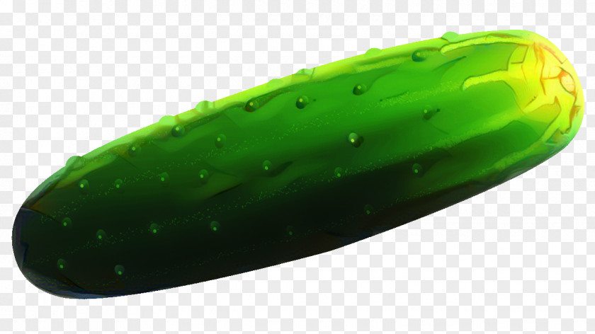 Luffa Cucumis Vegetable Cartoon PNG