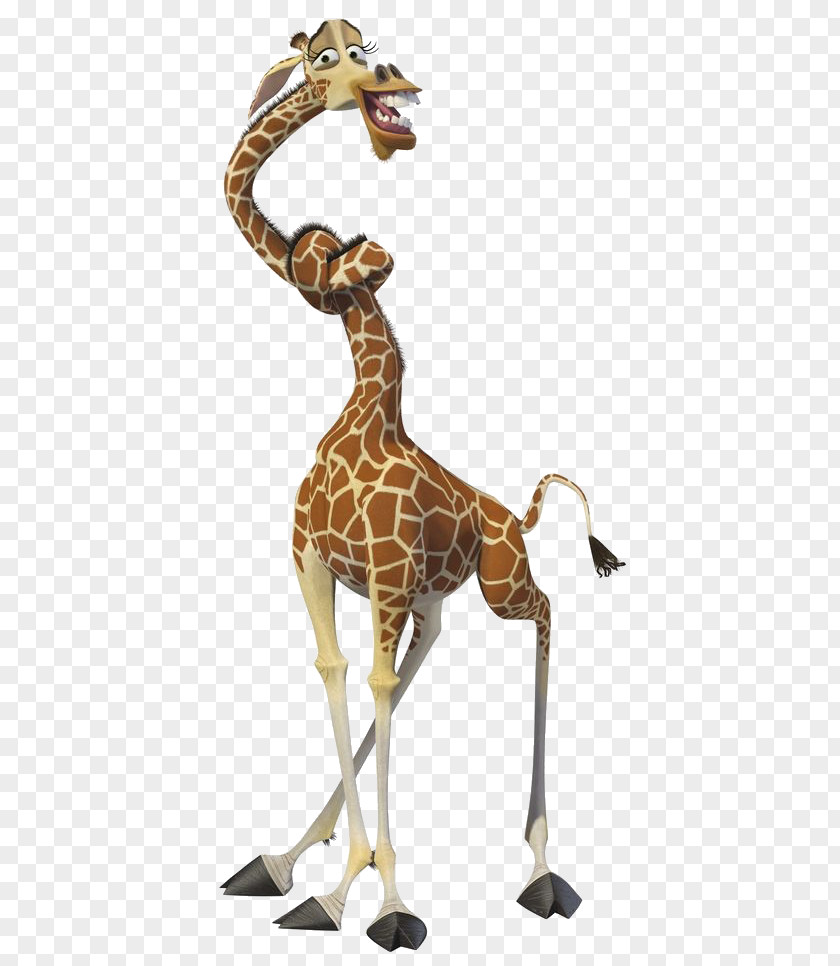 Madagascar Melman Alex Giraffe PNG