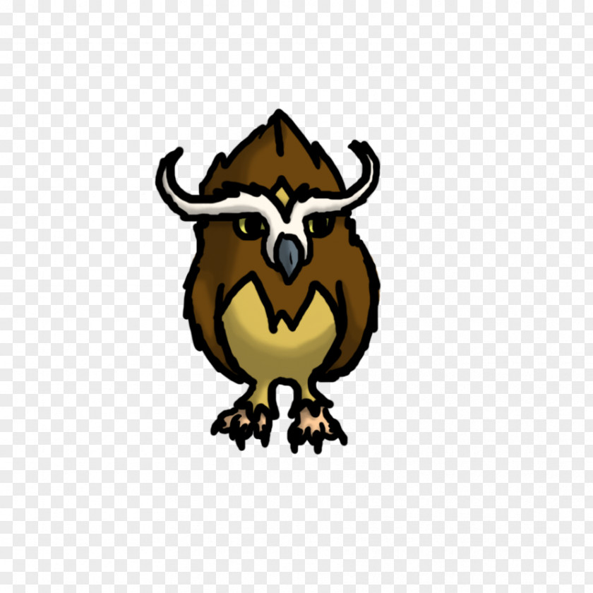 Owl Beak Carnivora Clip Art PNG