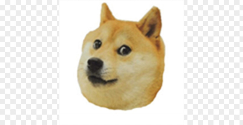 Shiba Inu Dogecoin Bumper Sticker PNG