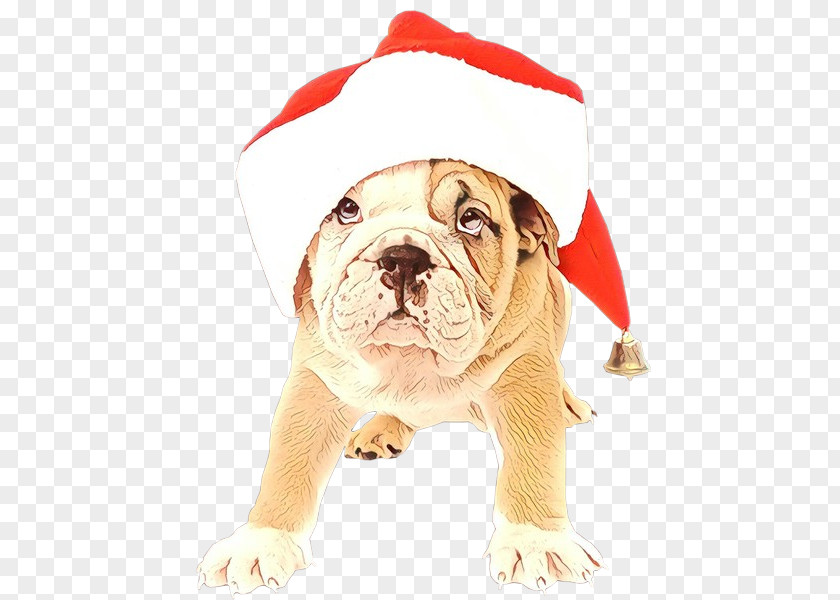 Molosser Australian Bulldog Christmas Santa Claus PNG