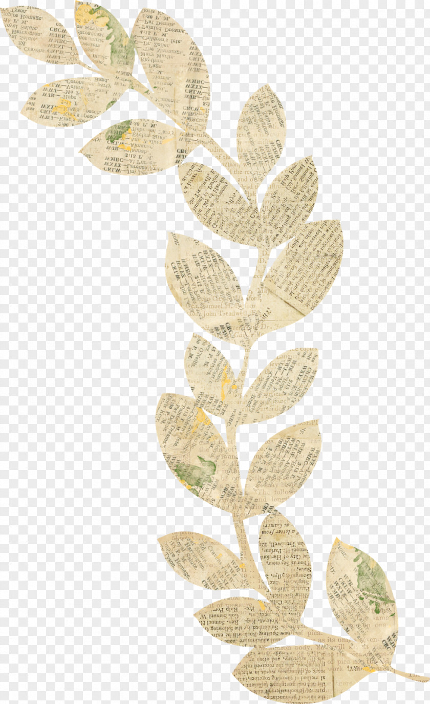 Red Bean Bread Leaf Plant Stem Branching PNG