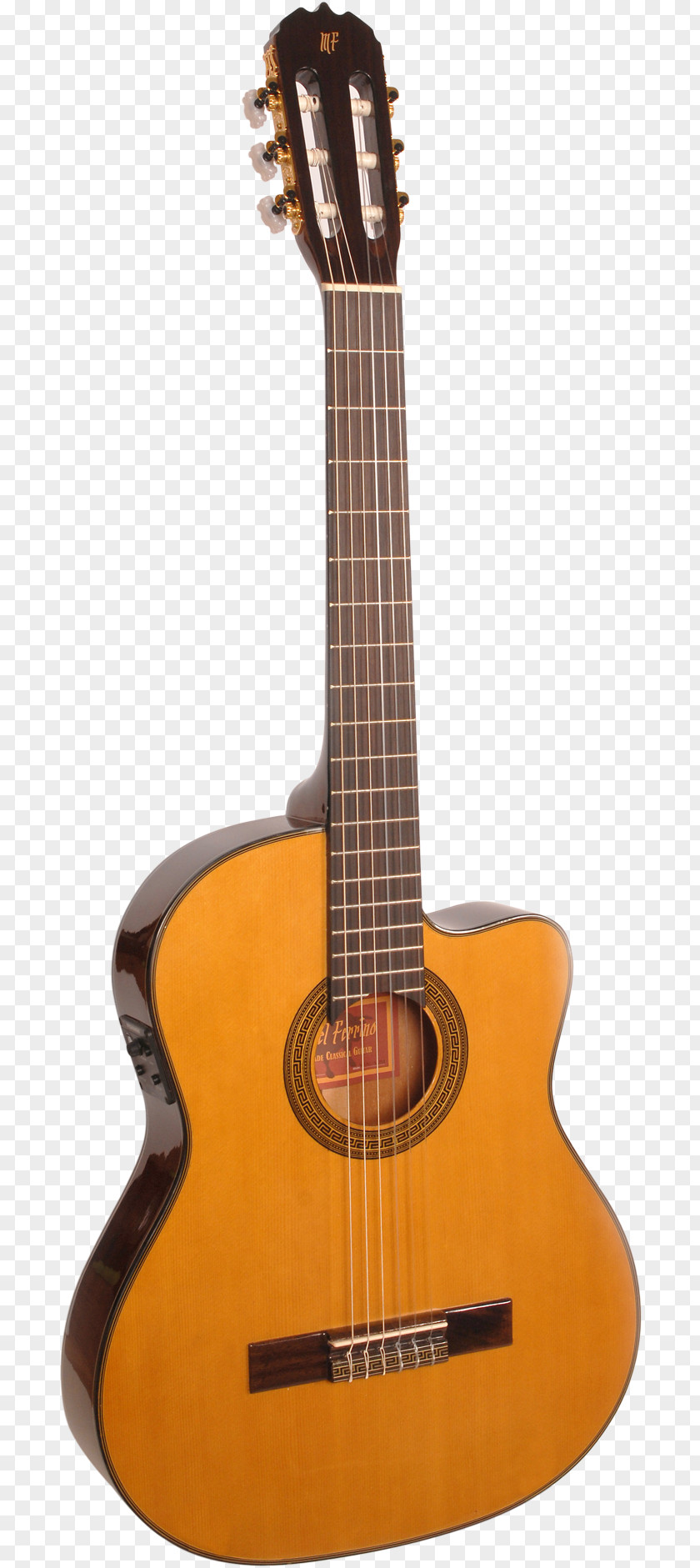 Acoustic Gig Classical Guitar Flamenco Electric PNG