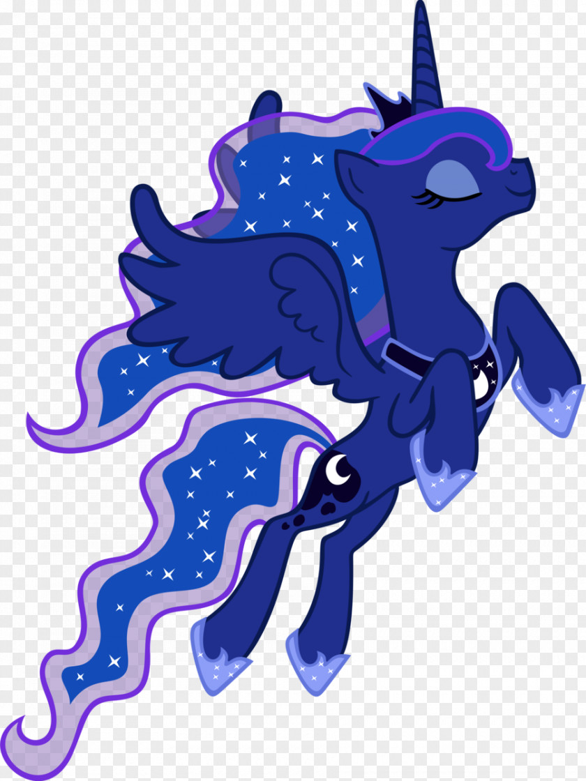 Amethyst Princess Luna Rainbow Dash Cadance Celestia Rarity PNG