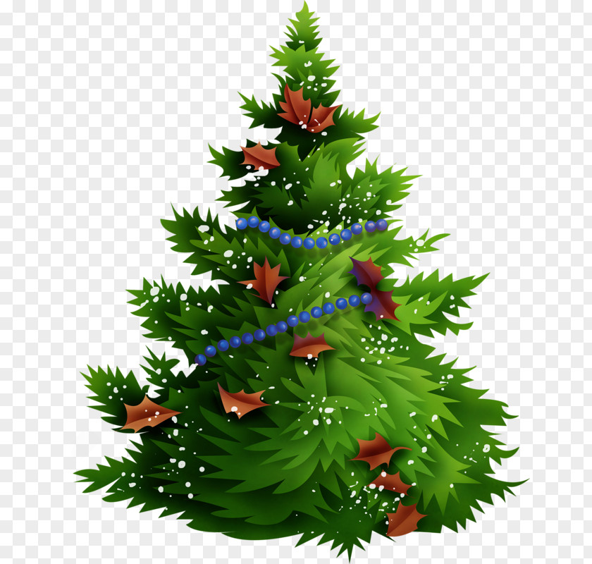 Christmas Tree Branches Free Picture Buckle Clip Art PNG