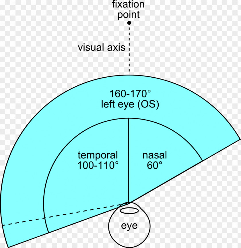 Left Eye Line Point Angle Diagram PNG