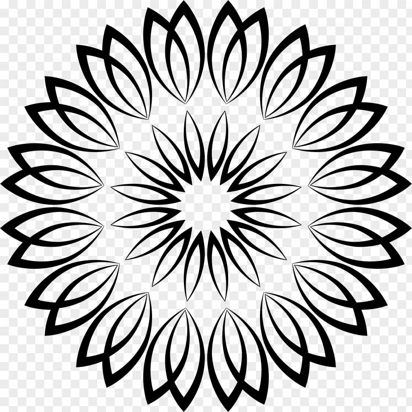 Line Drawing Art Flower Clip PNG