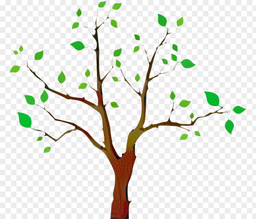 Plane Flower Family Tree Background PNG