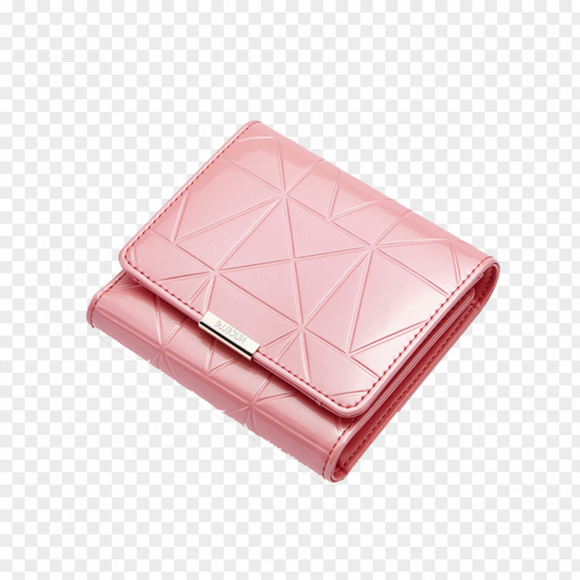 Small Pink Purse Wallet Brand Bag Rebecca Minkoff PNG