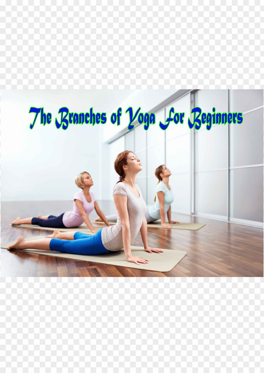 Yoga International Day Of Exercise Yogi Pilates PNG
