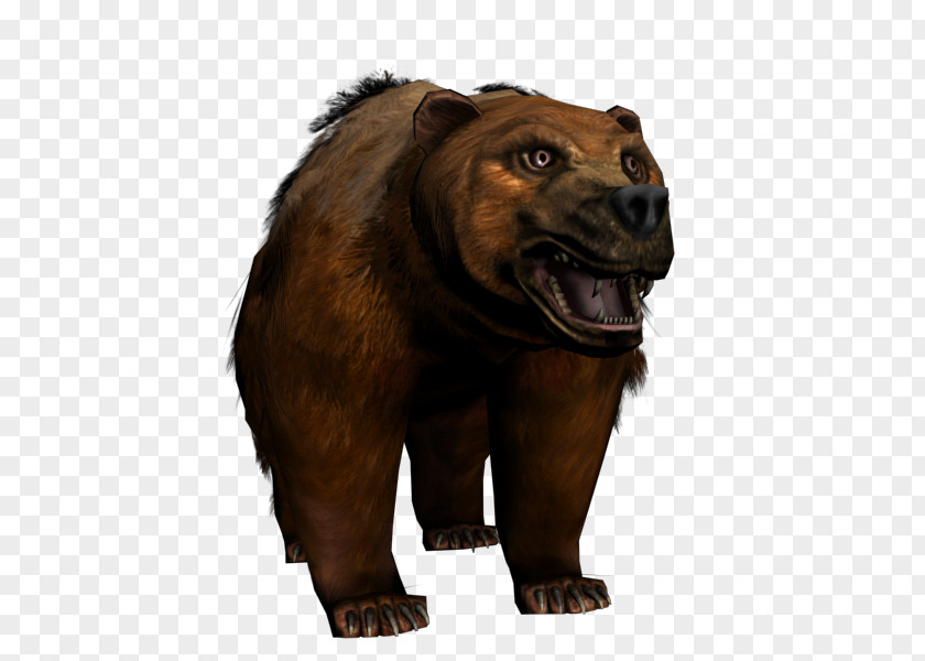 Bear Grizzly Alaska Peninsula Brown Fur Snout PNG