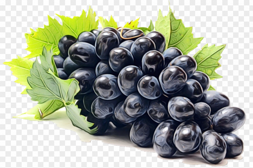 Blueberry Vitis Grape Fruit Berry Grapevine Family Superfood PNG