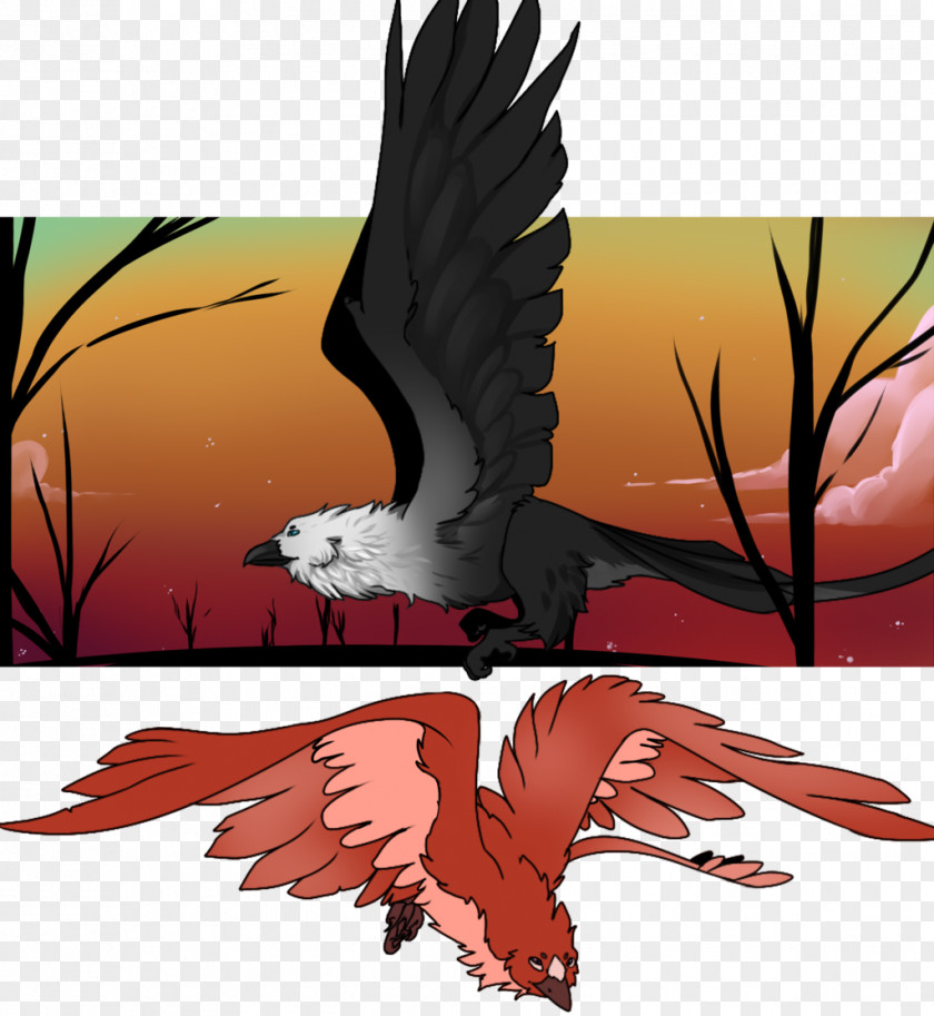 Eagle Bald Beak Cartoon PNG