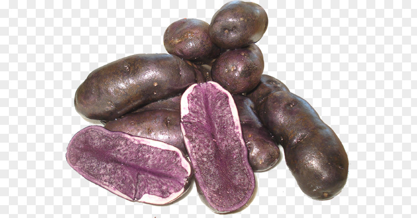 Potato Idaho Commission Sausage Sujuk Tuber PNG