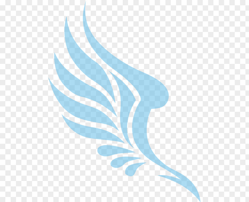 Wings Logo Drawing Clip Art PNG
