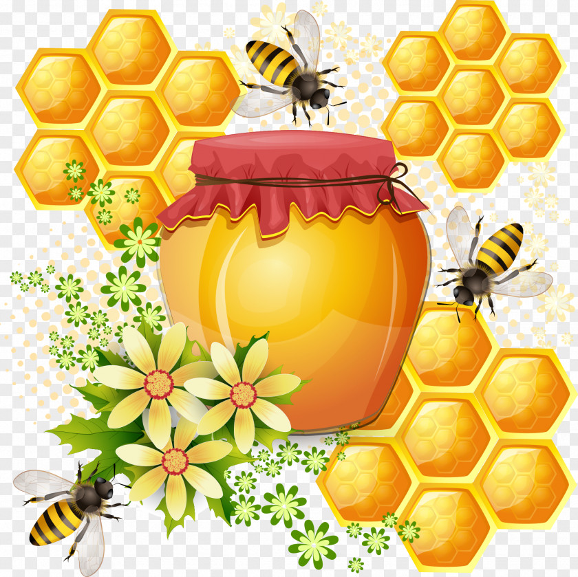 Bees And Honey Western Bee Honeycomb PNG