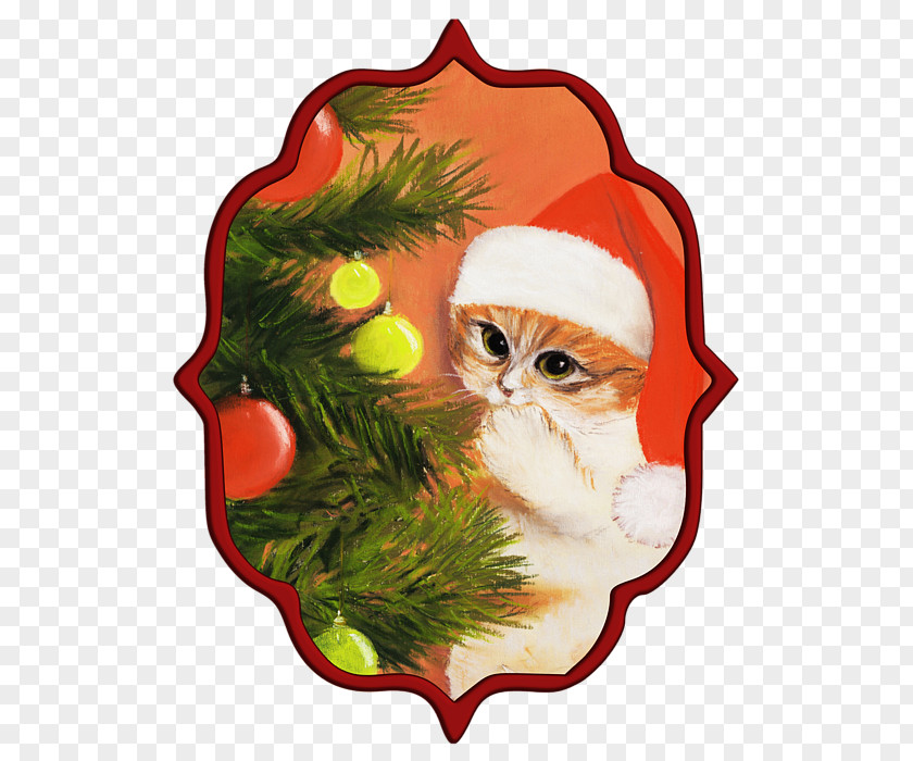 Clearance Sale 0 1 Santa Claus Painting Cat Art Christmas Day PNG
