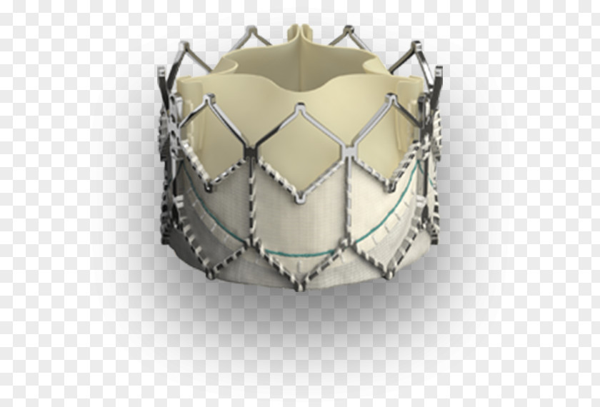 Heart Percutaneous Aortic Valve Replacement Artificial PNG