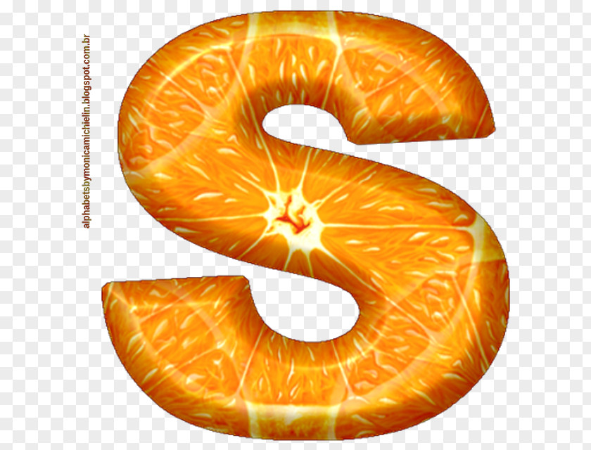 Orang Danish Pastry Orange S.A. Nautiluses Drawing Fruit PNG