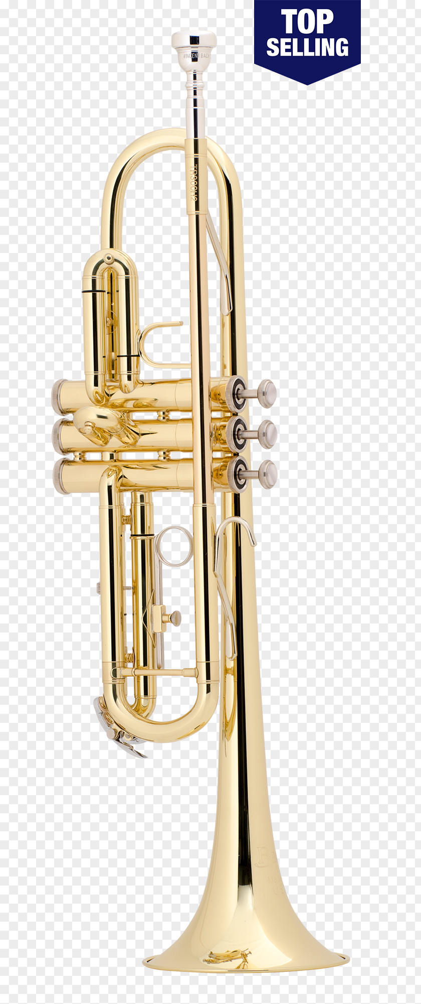 Trumpet Saxhorn Stradivarius Vincent Bach Corporation Brass Instruments PNG