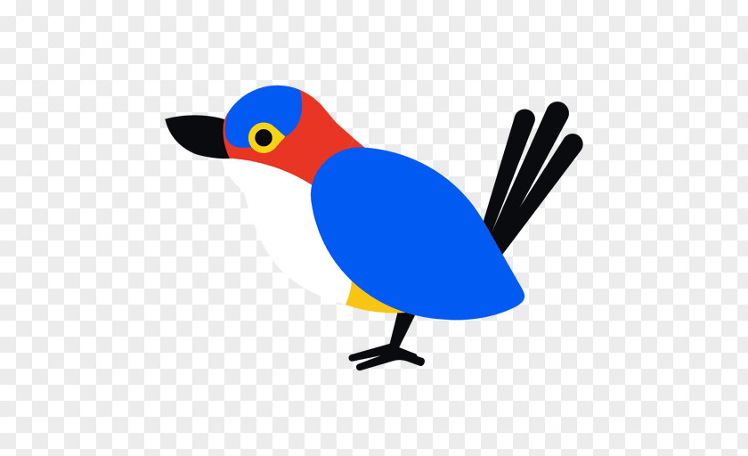 Bird Illustration Drawing PNG