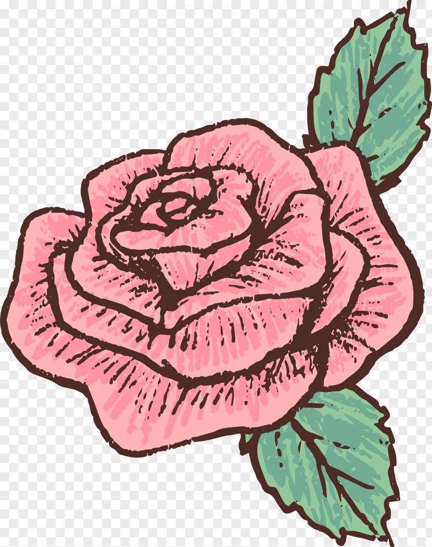 Hand Drawn Rose Material Euclidean Vector Drawing PNG