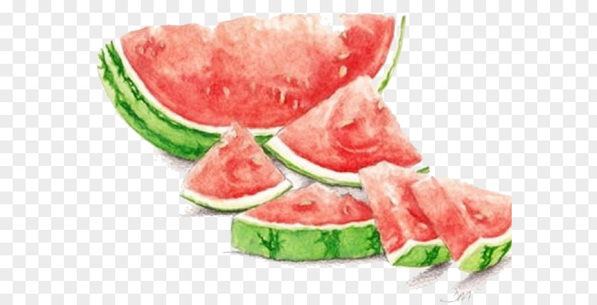 Hand Painted,Beautiful,Small Fresh,watermelon,fruit Watermelon Watercolor Painting Drawing Seedless Fruit PNG