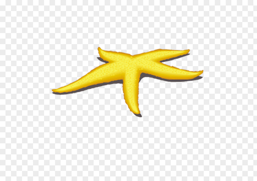 Sea Creatures Starfish Yellow Benthos PNG