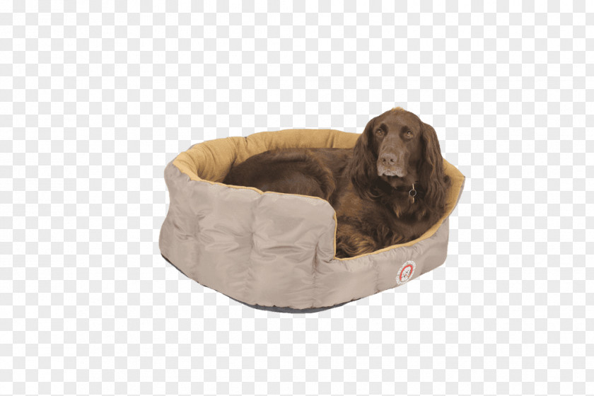 Dog Breed Puppy Collar Bread Pan PNG
