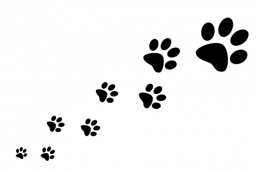 Dog Surrender Cliparts Cat Paw Silhouette Clip Art PNG