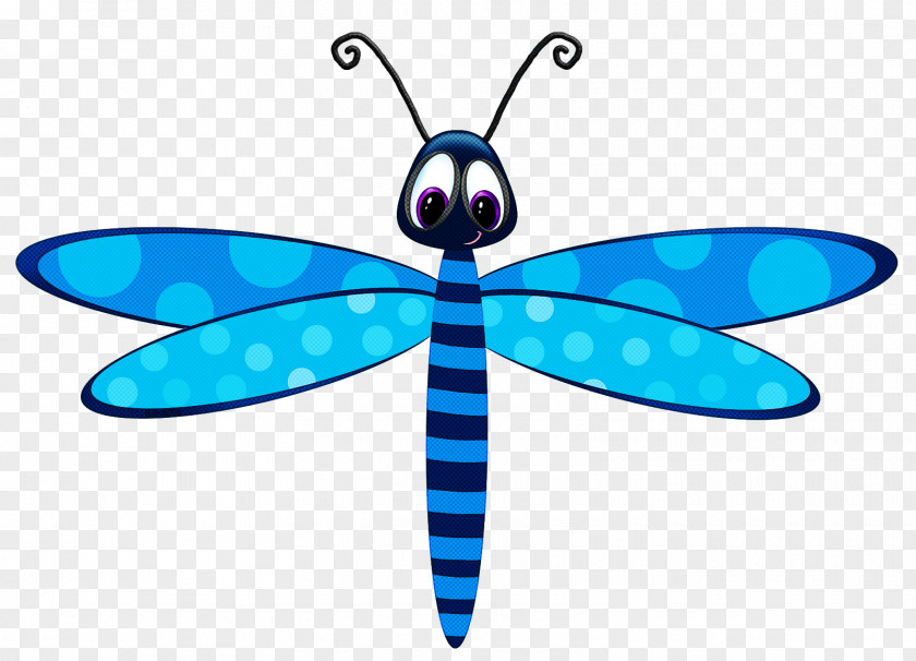 Dragonflies And Damseflies Insect Blue Dragonfly Turquoise PNG