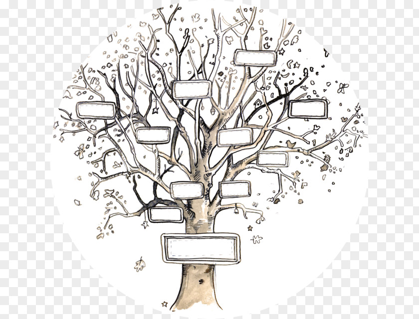 Family Tree Genealogy Template Ancestor PNG