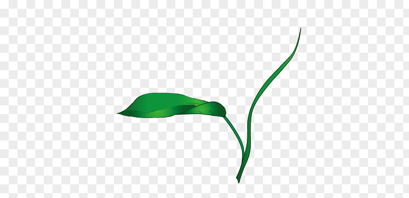 Grass Leaf Pattern PNG